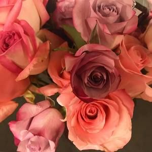 Meet your Posher, Sandra